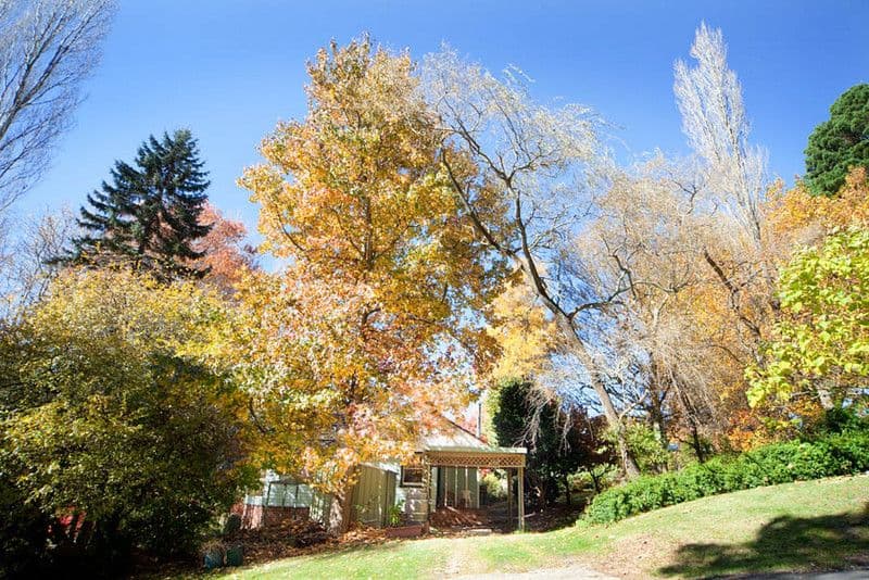 23 Monmouth Street, MOUNT VICTORIA NSW 2786, Mount Victoria - Thumbnail 2
