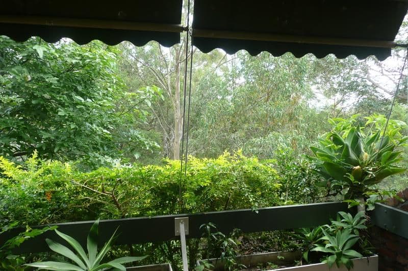74 Prospect Terrace, ST LUCIA QLD 4067, St Lucia - Thumbnail 2