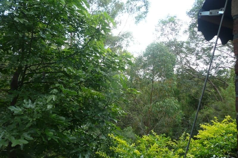 74 Prospect Terrace, ST LUCIA QLD 4067, St Lucia - Thumbnail 3