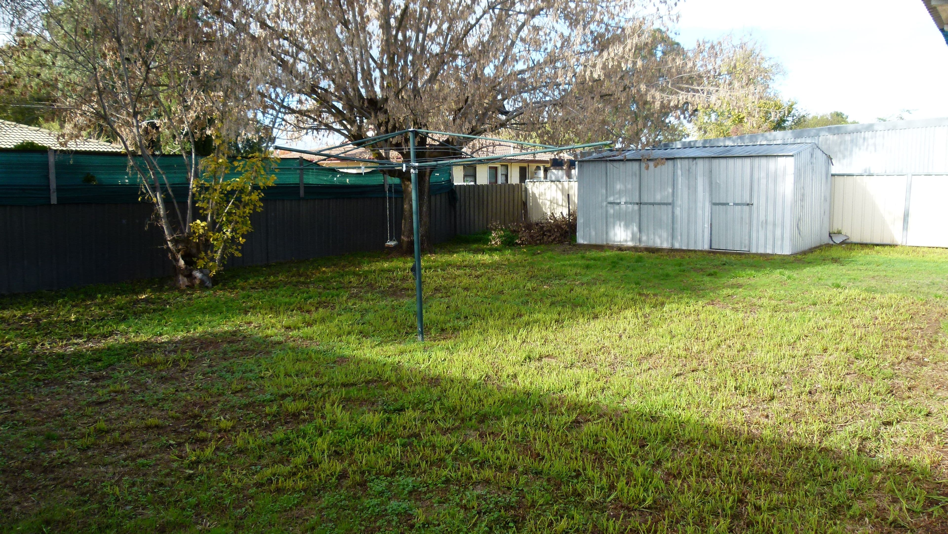 5 Facey Street, Forbes - Thumbnail 8