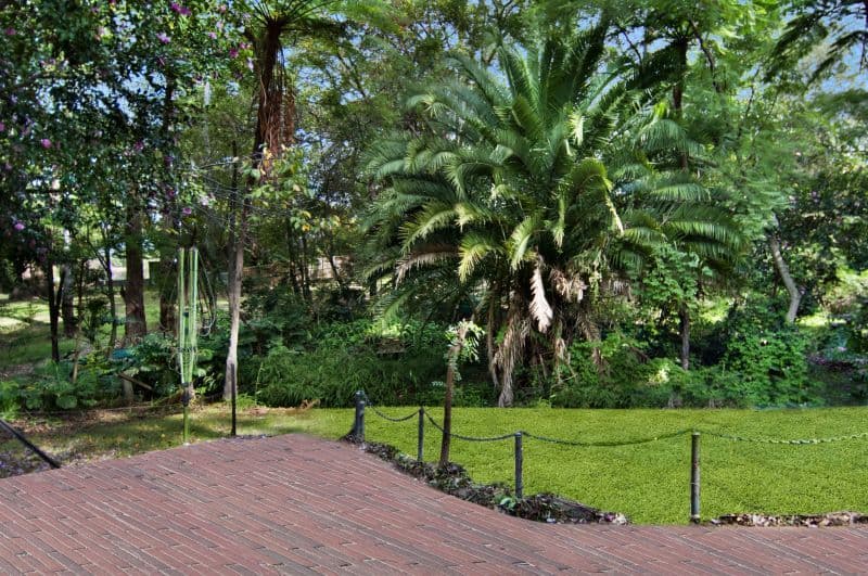 83 Chapman Avenue, BEECROFT NSW 2119, Beecroft - Thumbnail 3