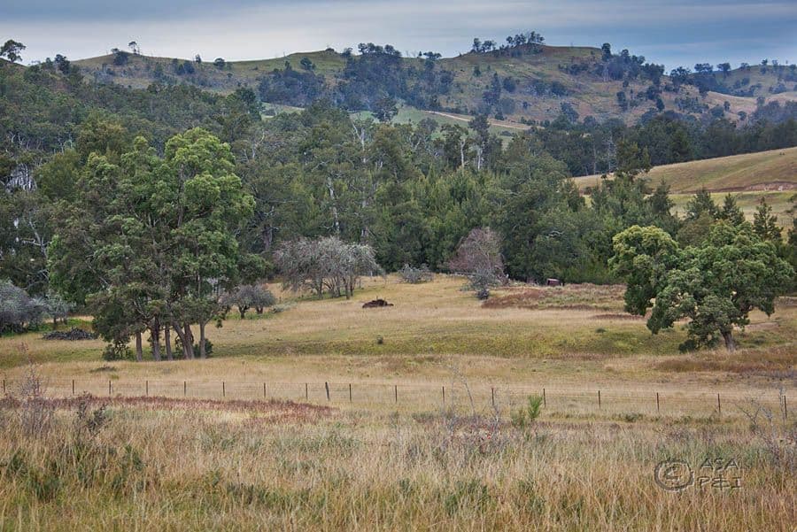 796 Peach Tree Road, MEGALONG NSW 2785, Megalong Valley - Thumbnail 2