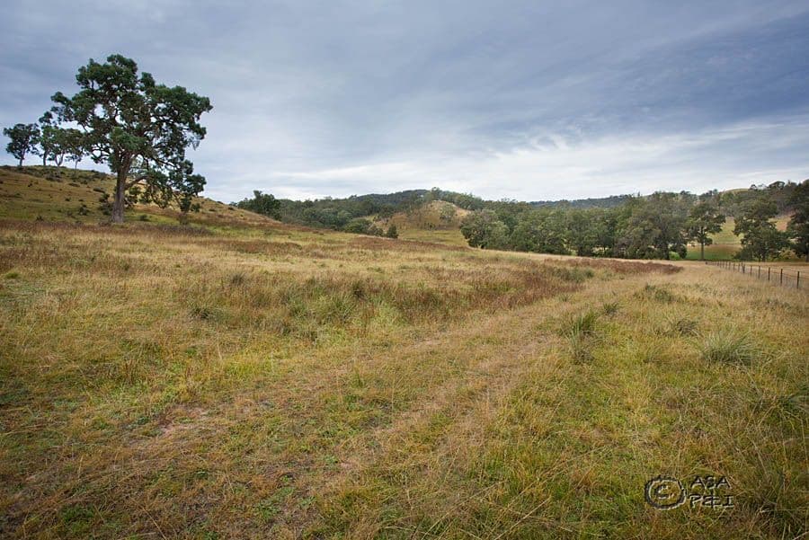796 Peach Tree Road, MEGALONG NSW 2785, Megalong Valley - Thumbnail 4