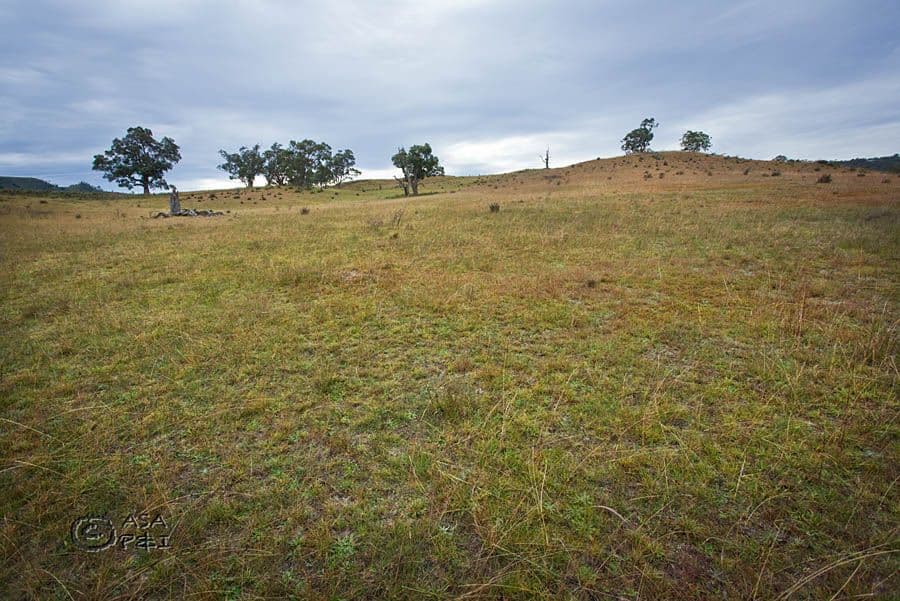 796 Peach Tree Road, MEGALONG NSW 2785, Megalong Valley - Thumbnail 7