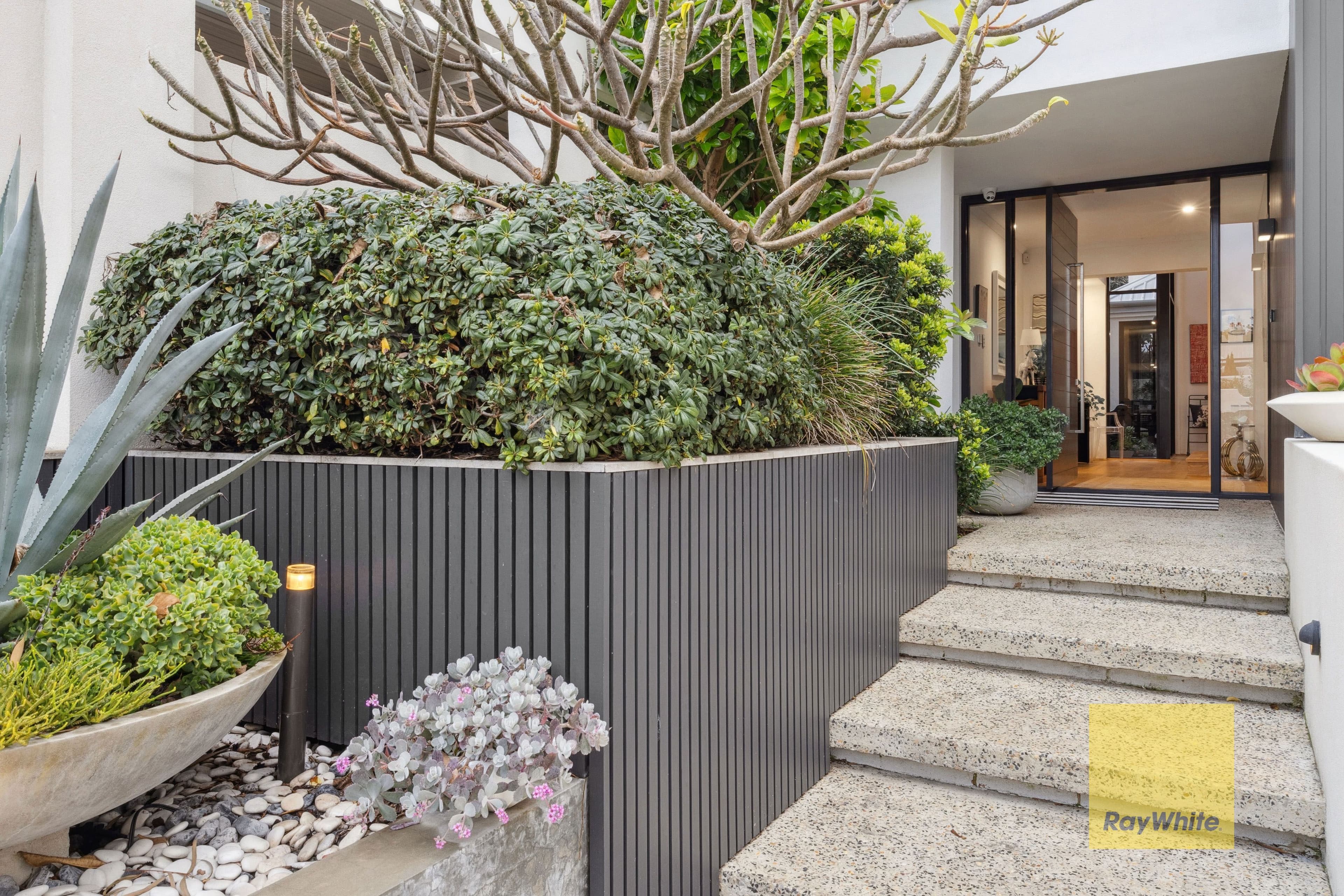 12 Reginald Street, Cottesloe WA 6011, Cottesloe - Thumbnail 2