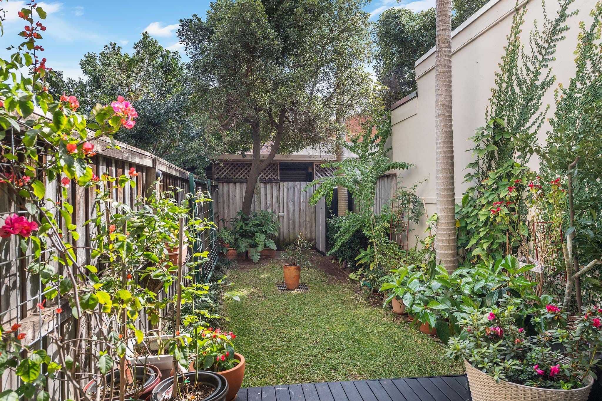299 Belmont Street, Alexandria NSW 2015, Alexandria - Thumbnail 6