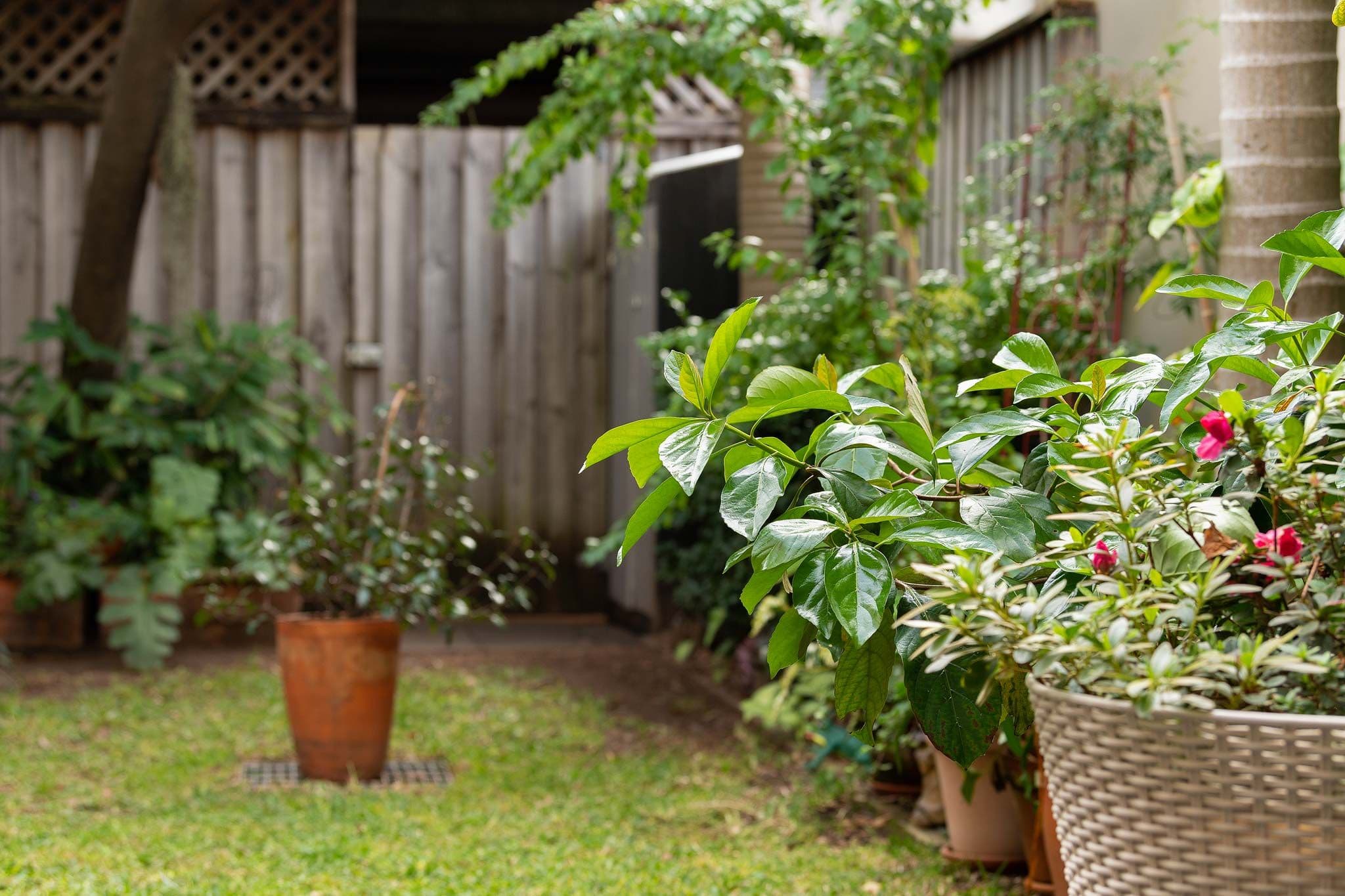 299 Belmont Street, Alexandria NSW 2015, Alexandria - Thumbnail 7