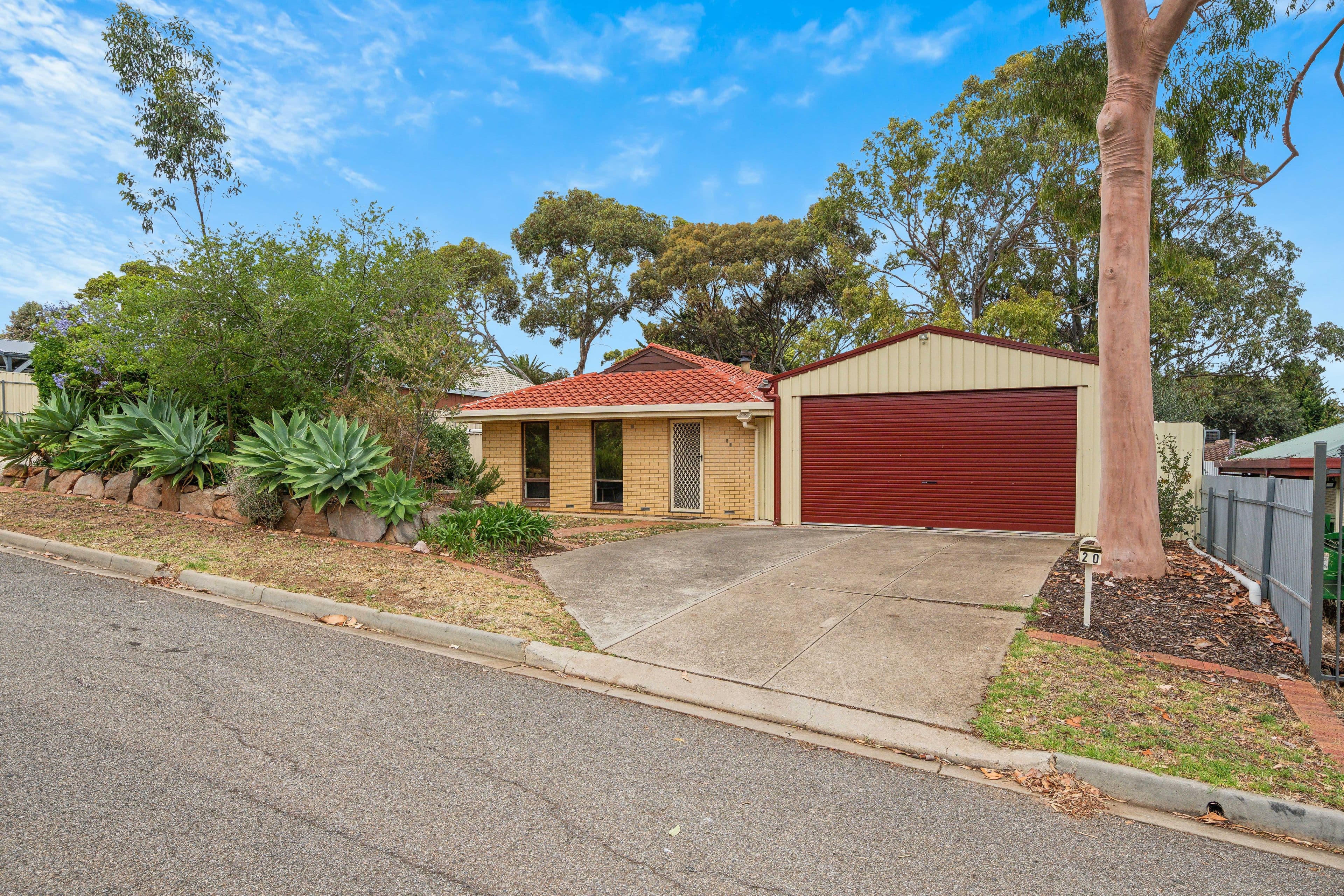 20 Radnor Street, Morphett Vale SA 5162, Morphett Vale - Thumbnail 3