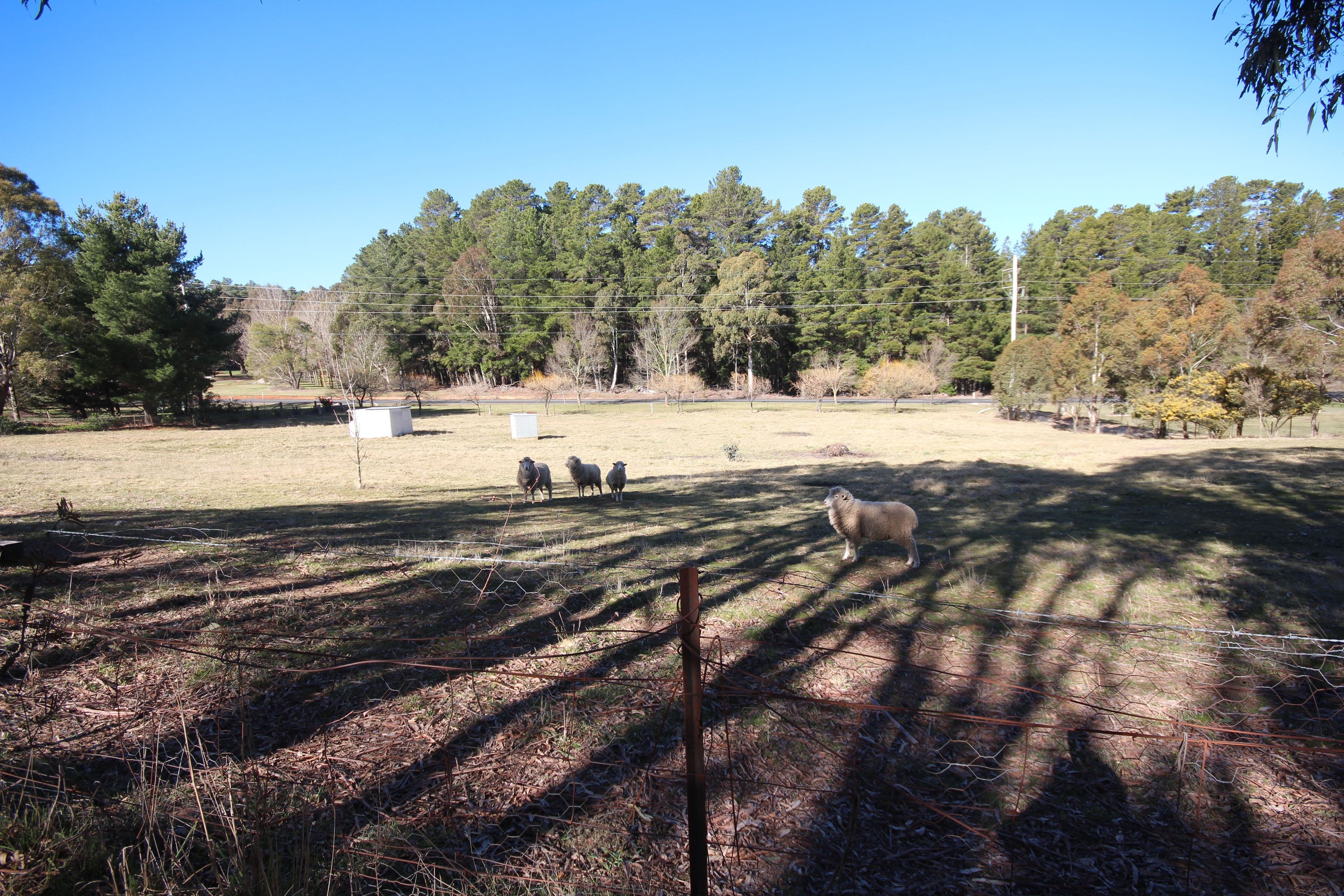 8 Campbells River Road, Black Springs NSW 2787, Black Springs - Thumbnail 4