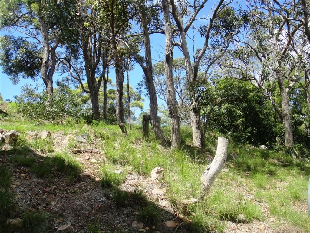 7 Scott Circuit, SALAMANDER BAY NSW 2317, Salamander Bay - Thumbnail 2