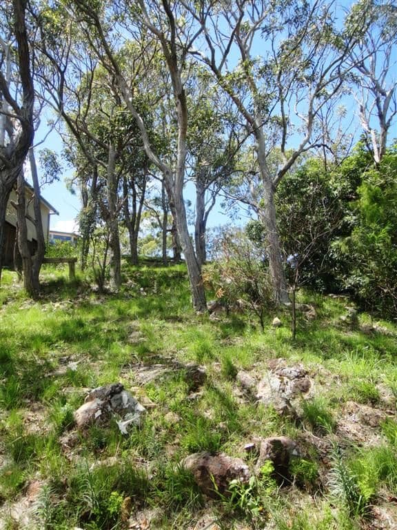 7 Scott Circuit, SALAMANDER BAY NSW 2317, Salamander Bay - Thumbnail 5