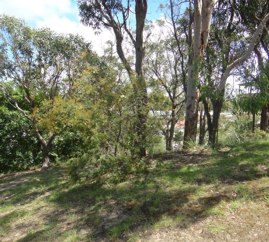 7 Scott Circuit, SALAMANDER BAY NSW 2317, Salamander Bay - Thumbnail 6