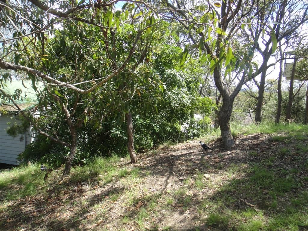 7 Scott Circuit, SALAMANDER BAY NSW 2317, Salamander Bay - Thumbnail 7