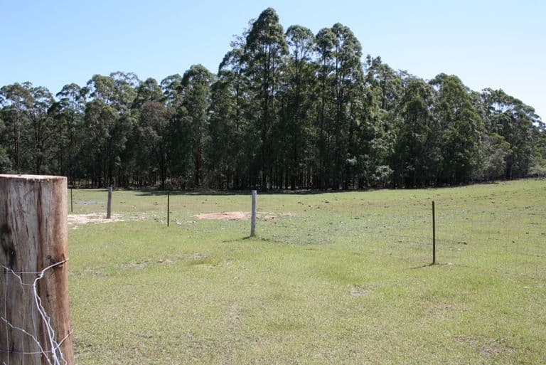 768 Parker Road, LANITZA NSW 2460, Lanitza - Thumbnail 3