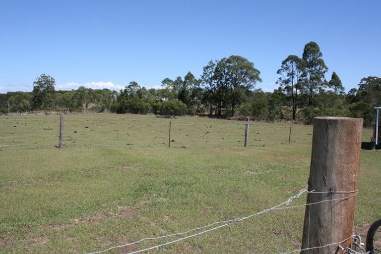 768 Parker Road, LANITZA NSW 2460, Lanitza - Thumbnail 4