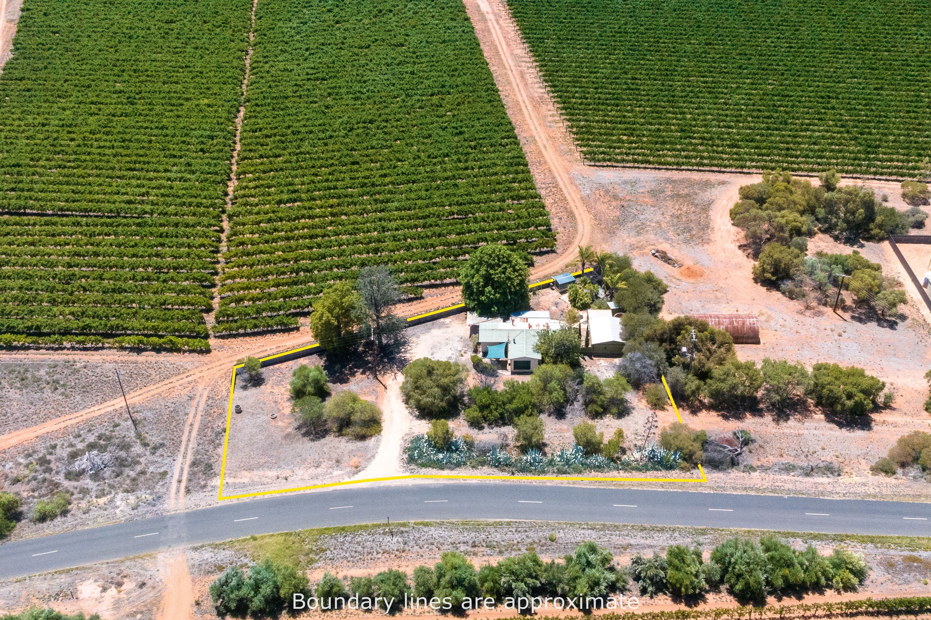49 Gordon Road, Loxton SA 5333, Loxton - Image 1