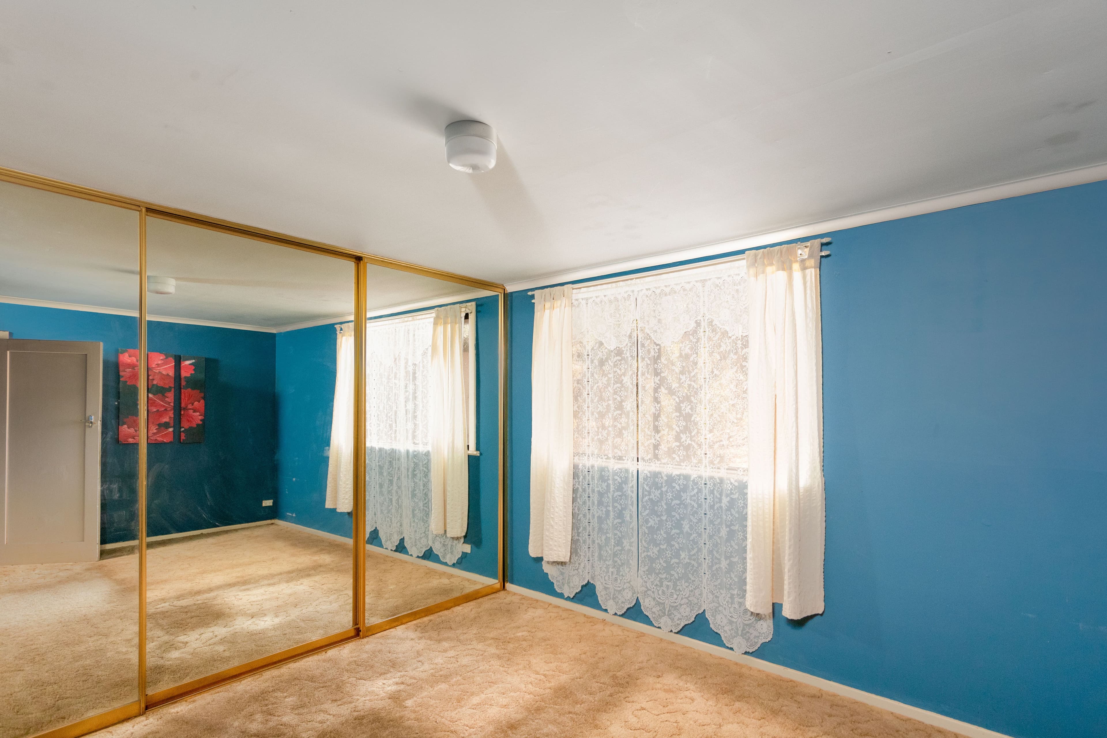 49 Gordon Road, Loxton SA 5333, Loxton - Thumbnail 7