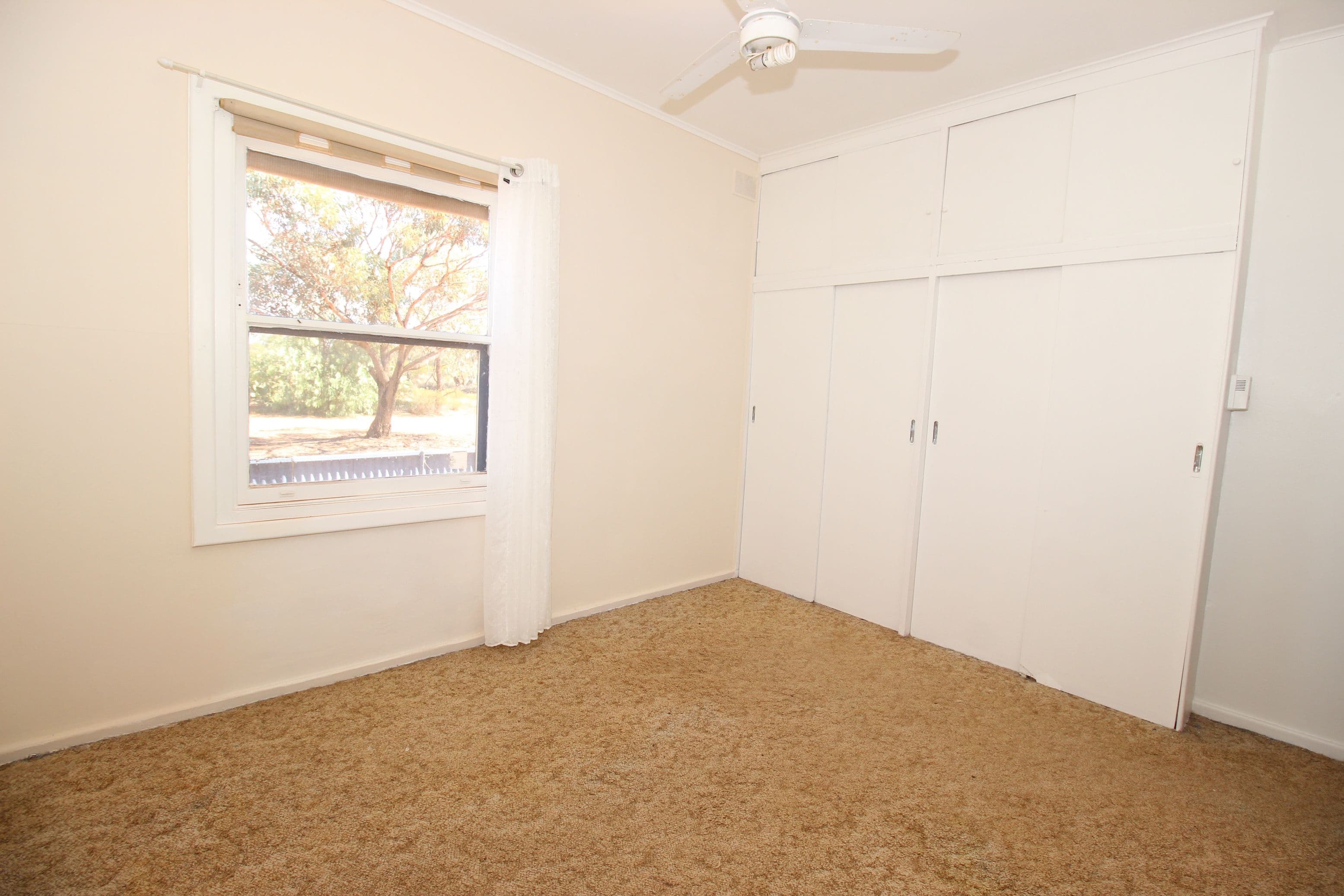 11346 Thiele Highway, Morgan SA 5320, Morgan - Thumbnail 8