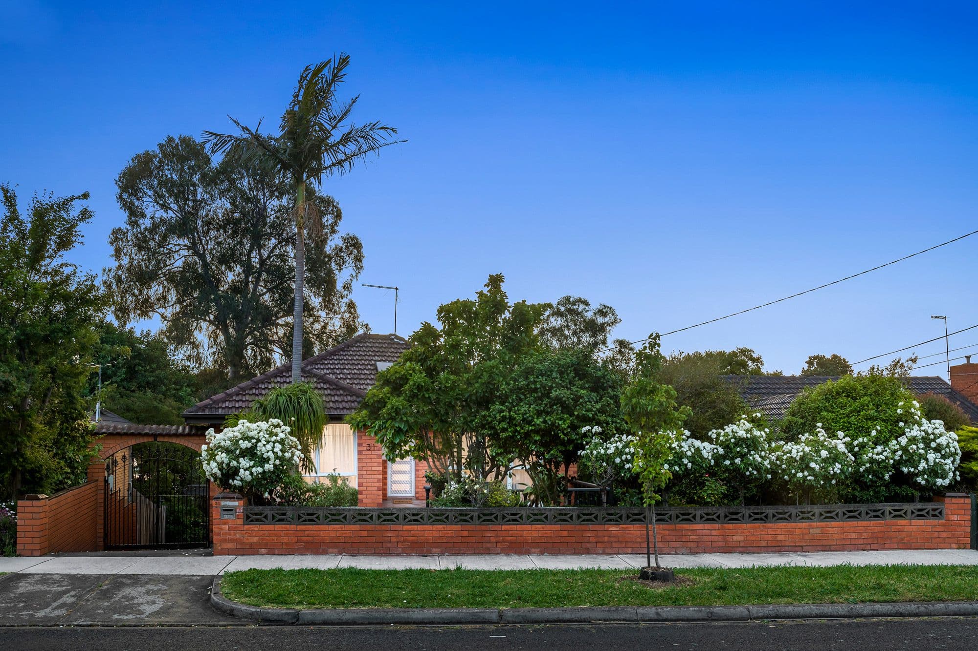 31 Beddows Street, Burwood VIC 3125, Burwood - Image 1
