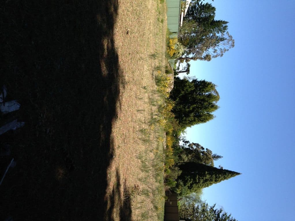 104 Great Western Highway, MEDLOW BATH NSW 2780, Medlow Bath - Thumbnail 3