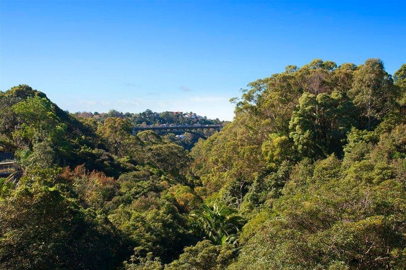 1  Quarry Street, NAREMBURN NSW 2065, Naremburn - Thumbnail 4