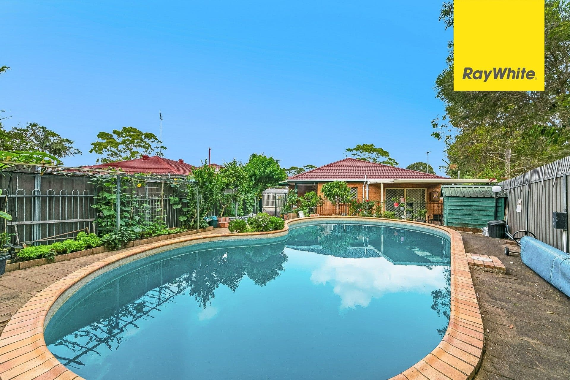 13A Coorabin Place, Riverwood NSW 2210, Riverwood - Thumbnail 5