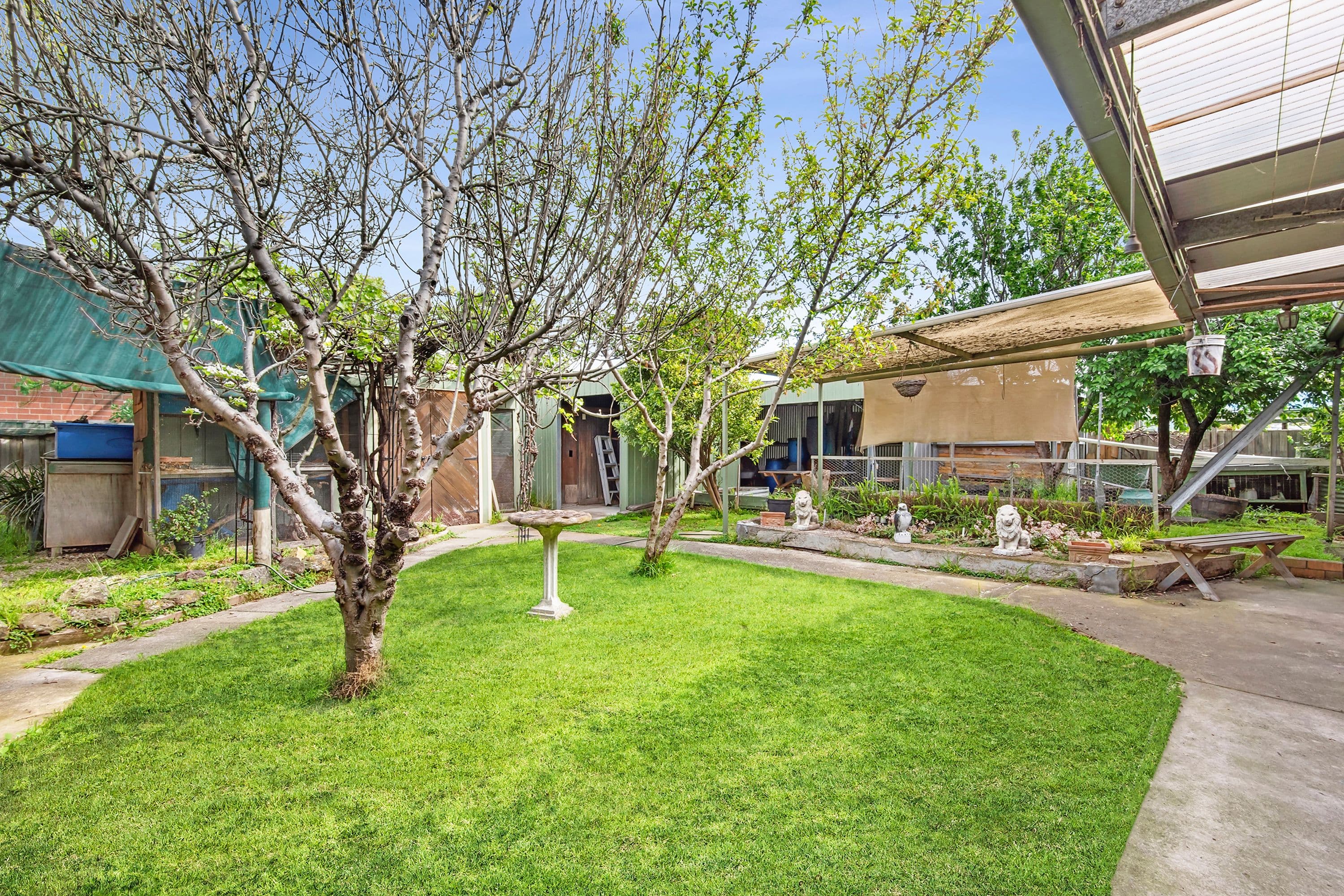 7 Nevada Avenue, Corio VIC 3214, Corio - Thumbnail 6