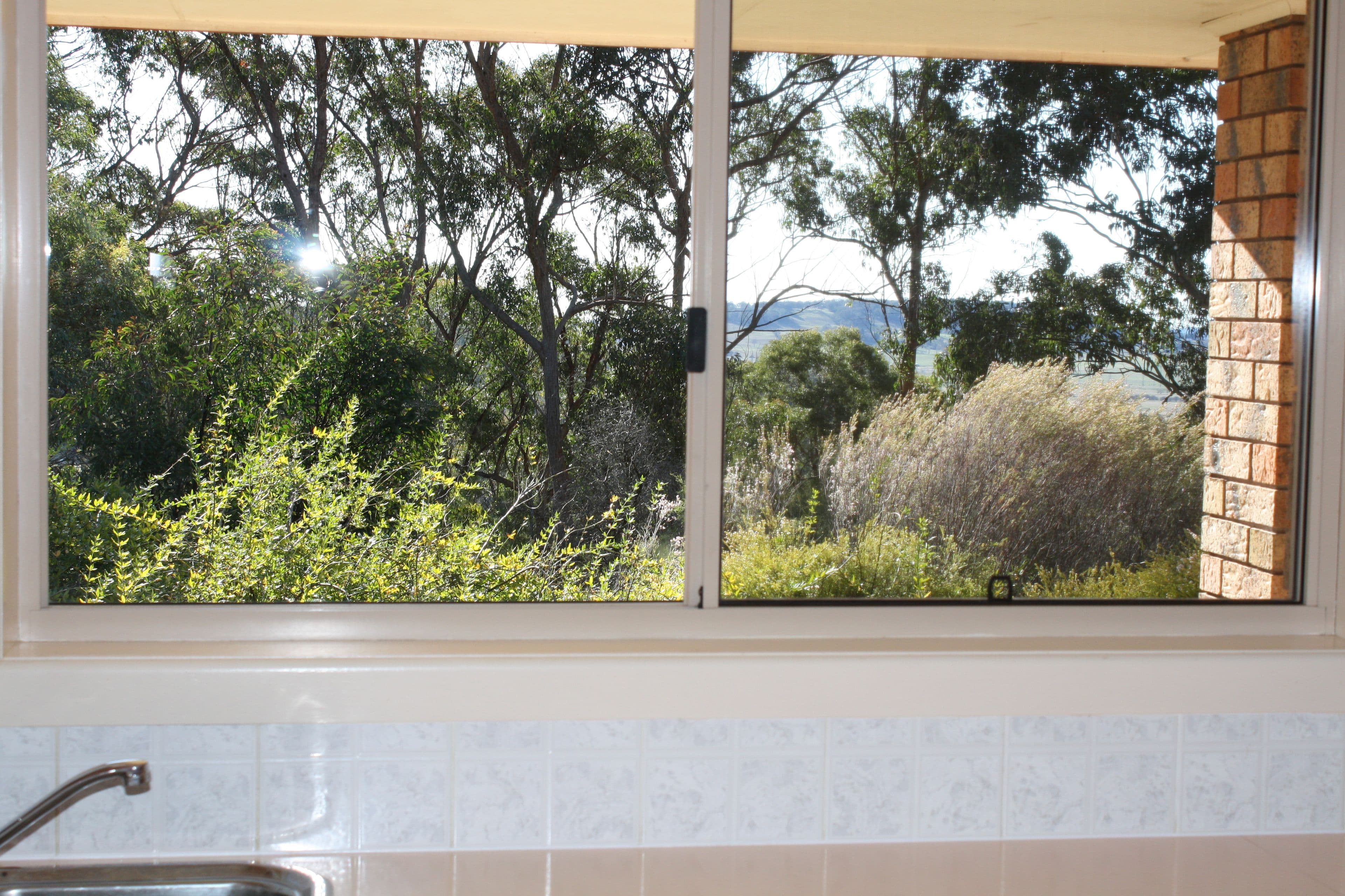 175 Blue Hills Road, Glen Innes - Thumbnail 2