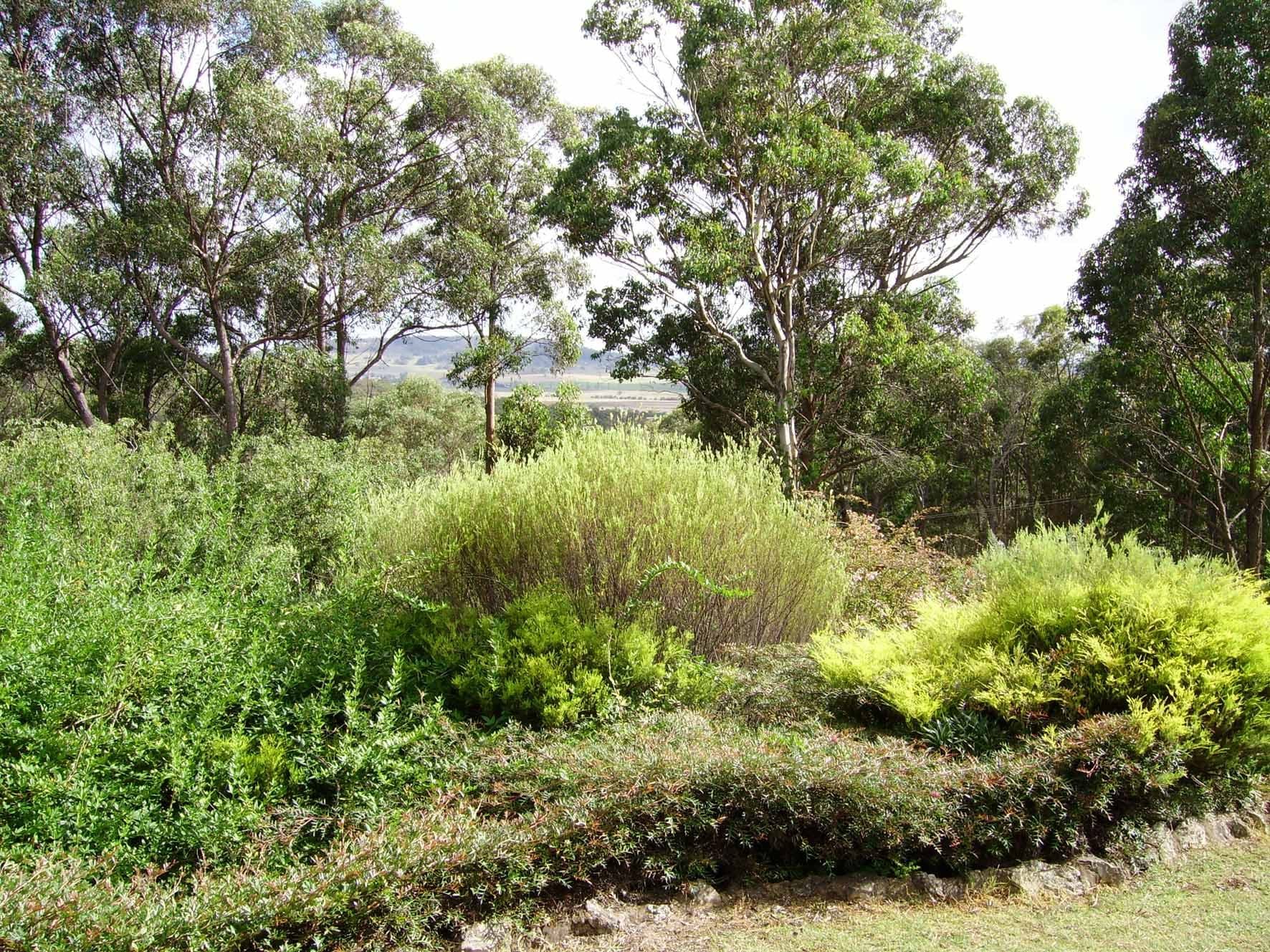 175 Blue Hills Road, Glen Innes - Thumbnail 5