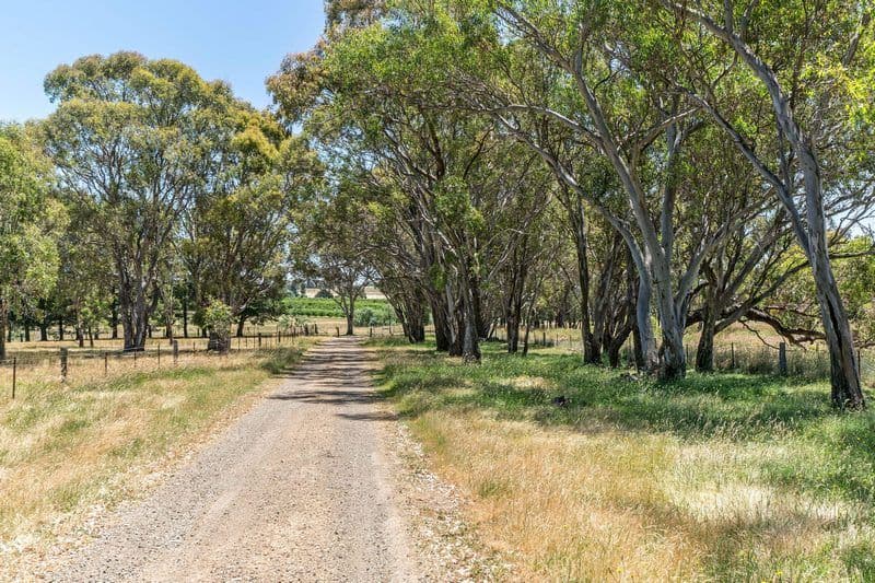 91 Radnedge Lane, Borenore - Thumbnail 4