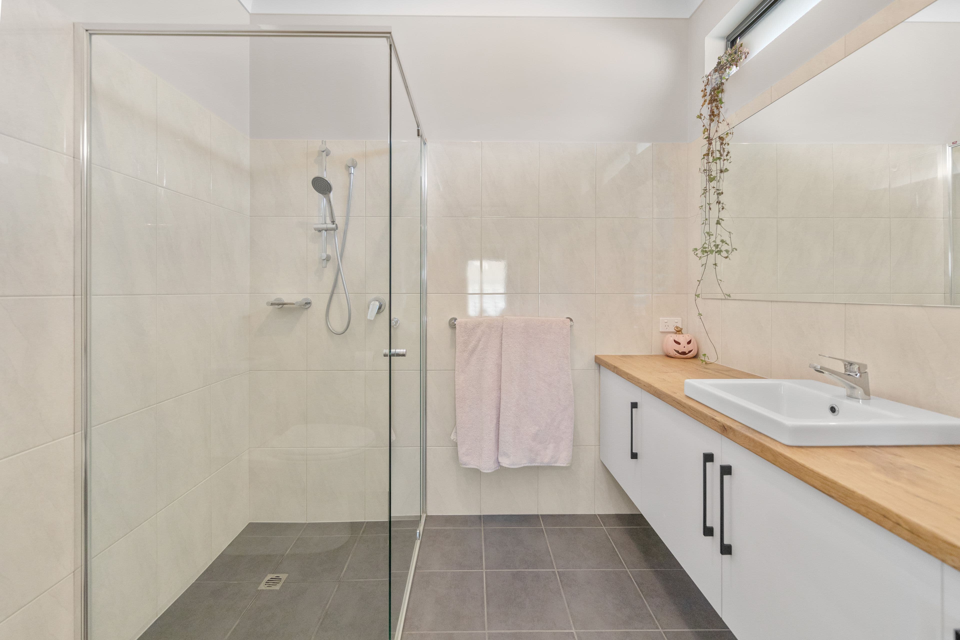 3 The Parkway, Nuriootpa SA 5355, Nuriootpa - Thumbnail 8