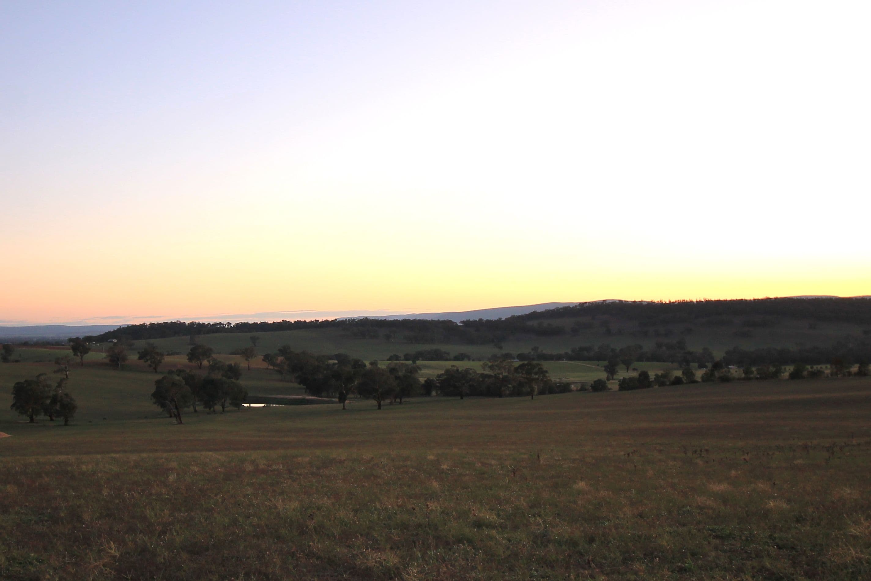 145 Donges Road, Young NSW 2594, Young - Thumbnail 4