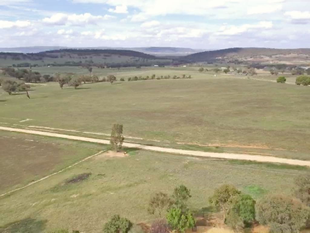 145 Donges Road, Young NSW 2594, Young - Thumbnail 7