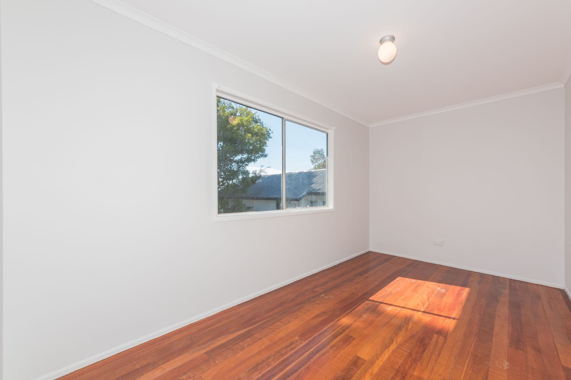 41 Roma Street, Scarborough QLD 4020, Scarborough - Thumbnail 6