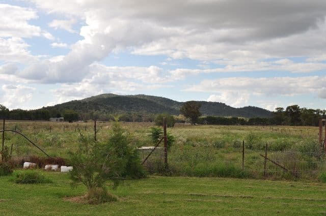 115 Pye Street, EUGOWRA NSW 2806, Eugowra - Thumbnail 7