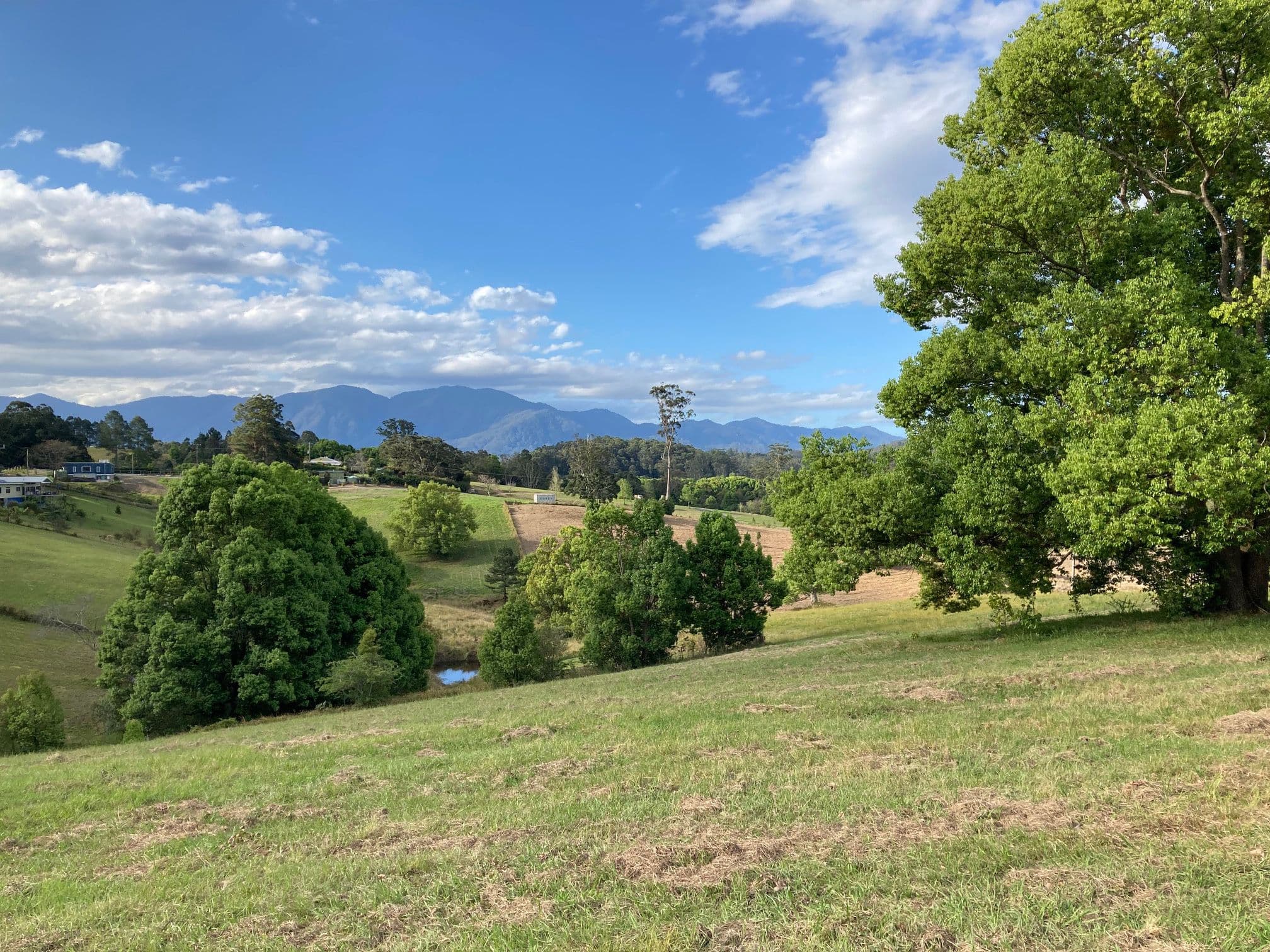 124 Hydes Creek Road, Bellingen NSW 2454, Bellingen - Thumbnail 2