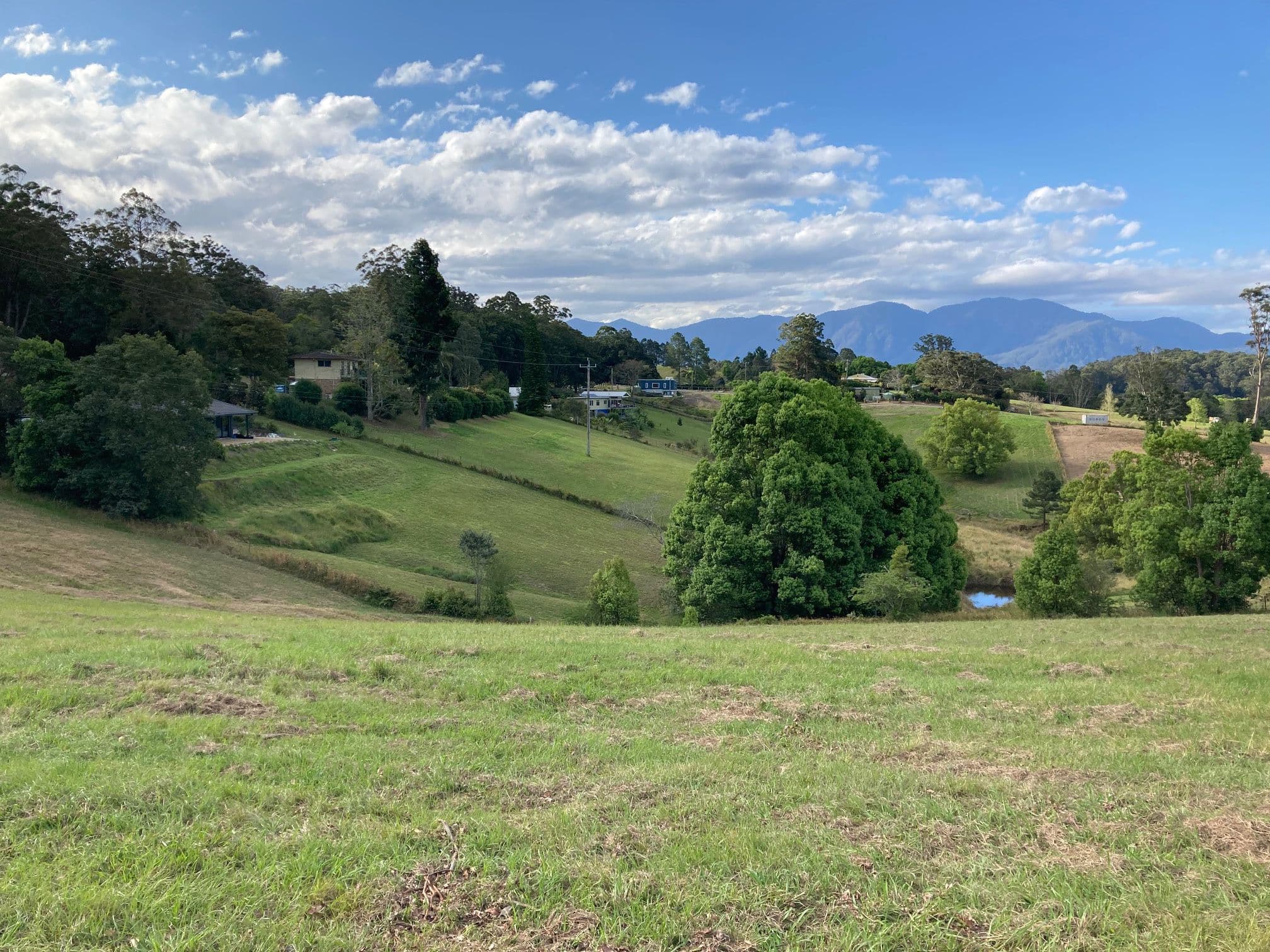 124 Hydes Creek Road, Bellingen NSW 2454, Bellingen - Thumbnail 3