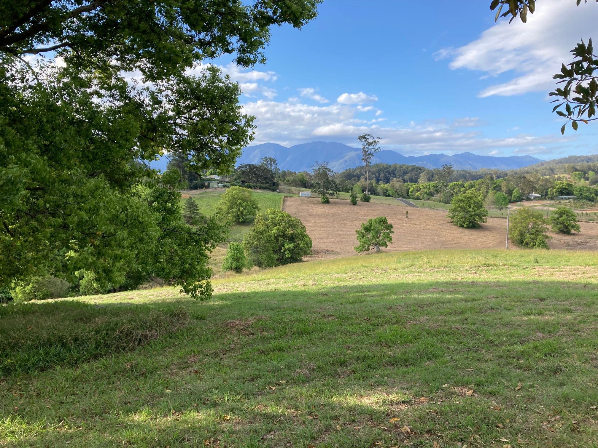 124 Hydes Creek Road, Bellingen NSW 2454, Bellingen - Thumbnail 4