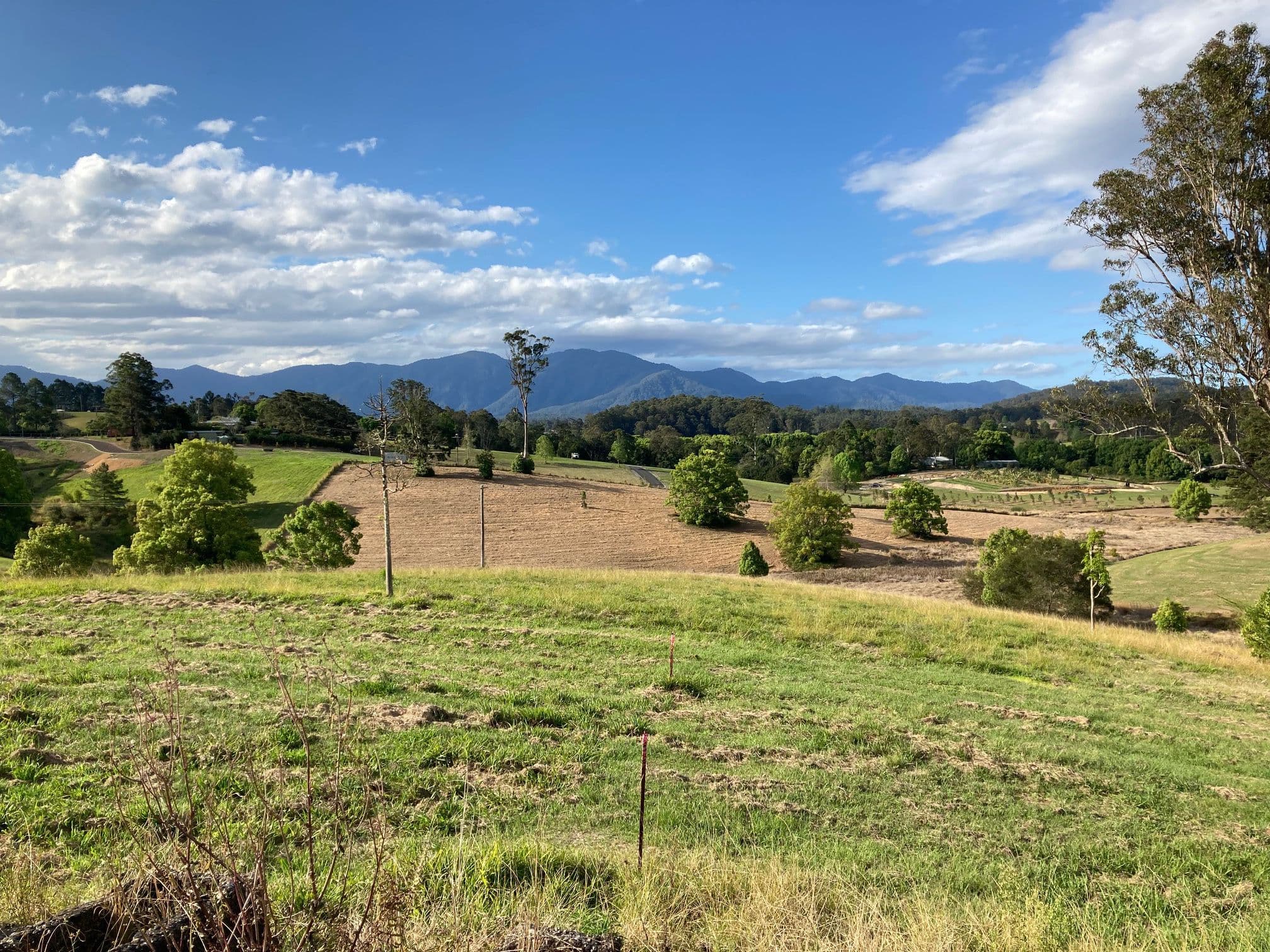 124 Hydes Creek Road, Bellingen NSW 2454, Bellingen - Thumbnail 5