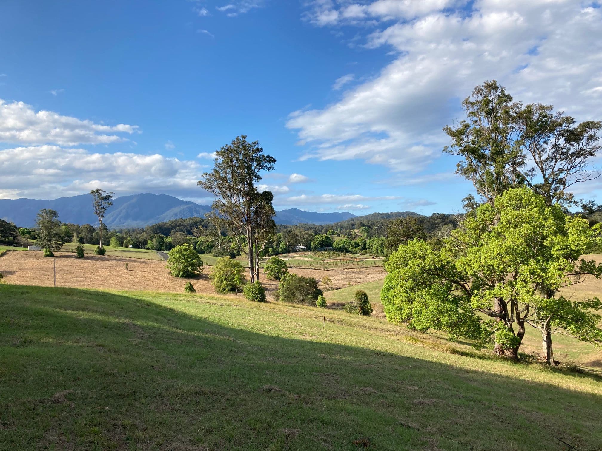 124 Hydes Creek Road, Bellingen NSW 2454, Bellingen - Thumbnail 6