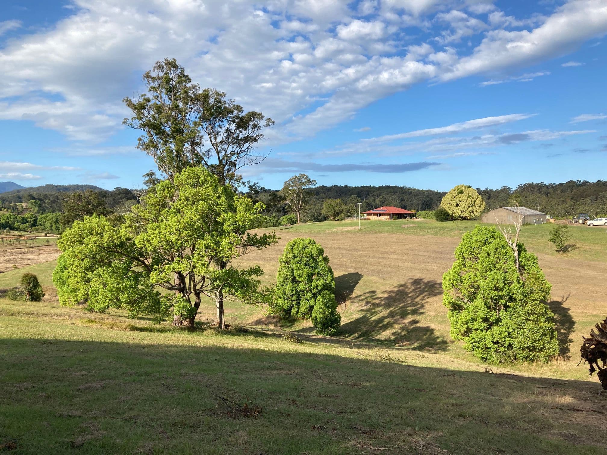 124 Hydes Creek Road, Bellingen NSW 2454, Bellingen - Thumbnail 7