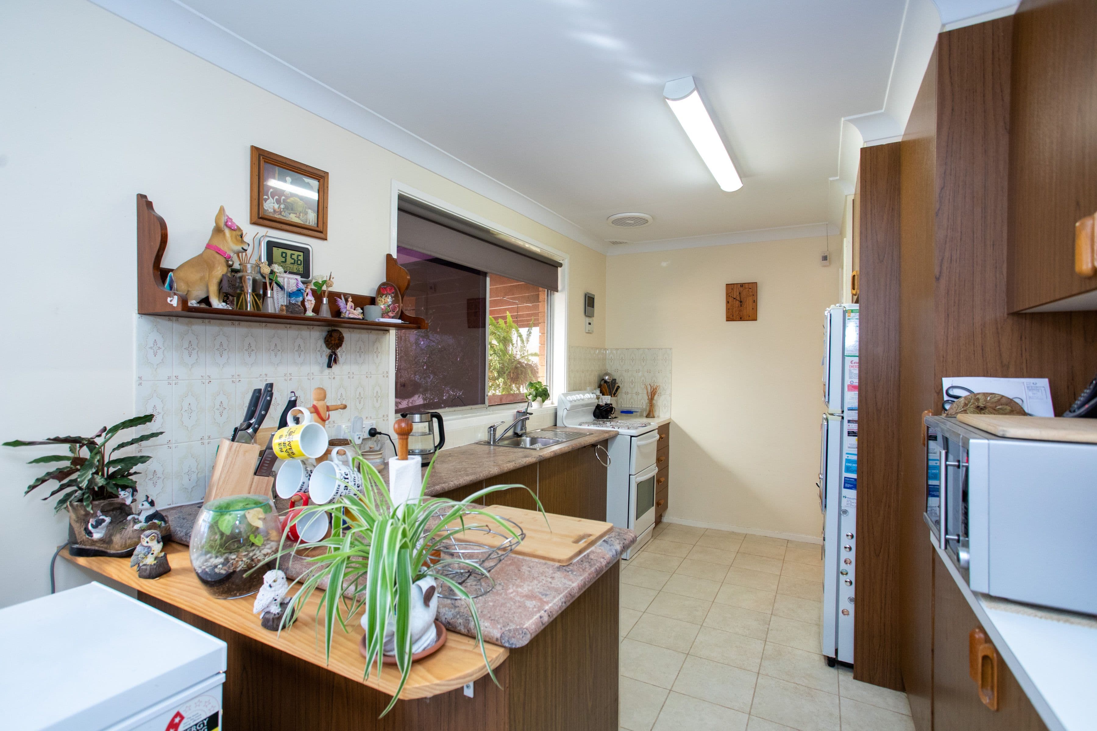 16 Hartley Street, Cowra NSW 2794, Cowra - Thumbnail 4