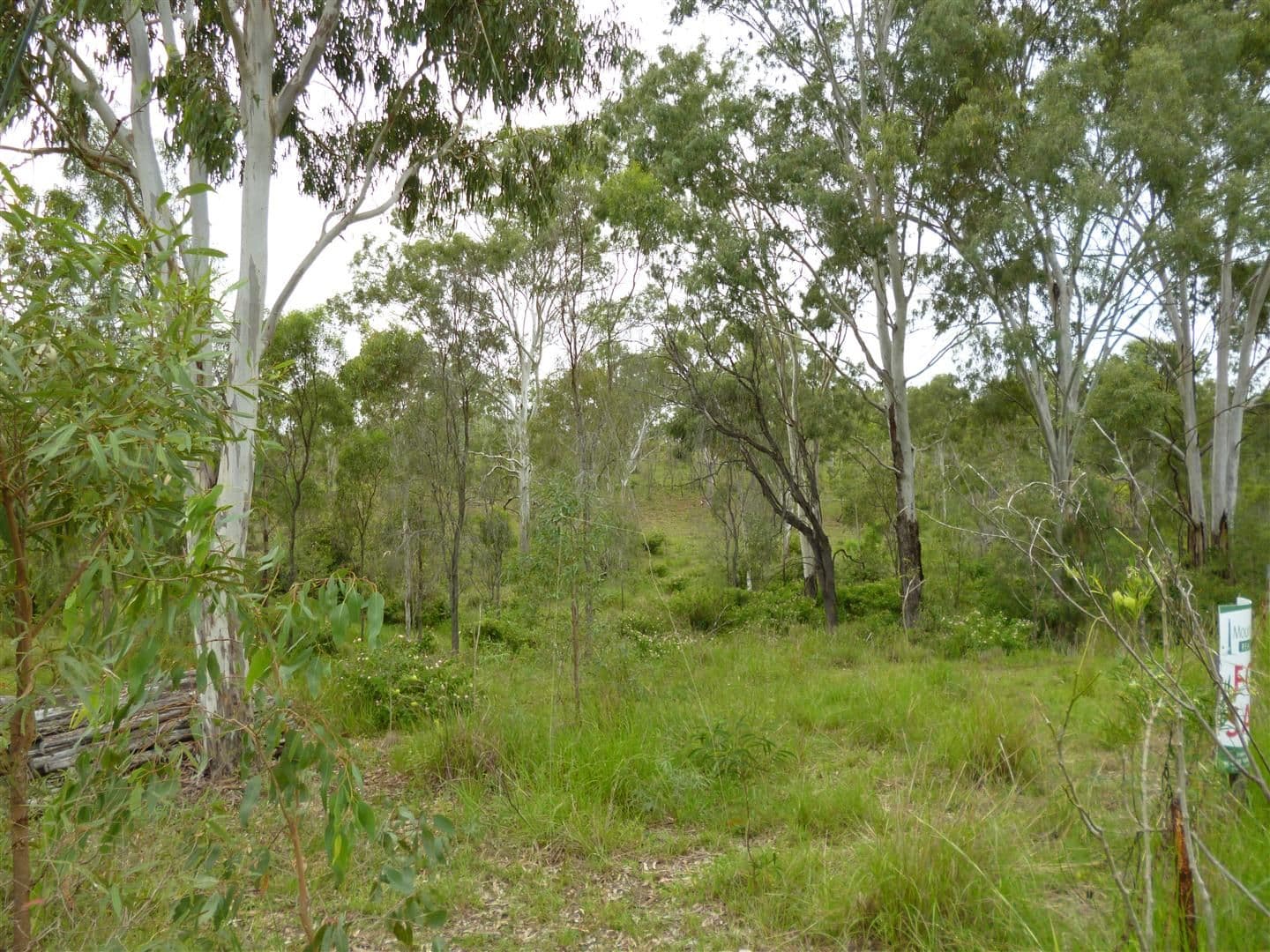 0 Burnett Highway, Mount Morgan QLD 4714, Mount Morgan - Thumbnail 4