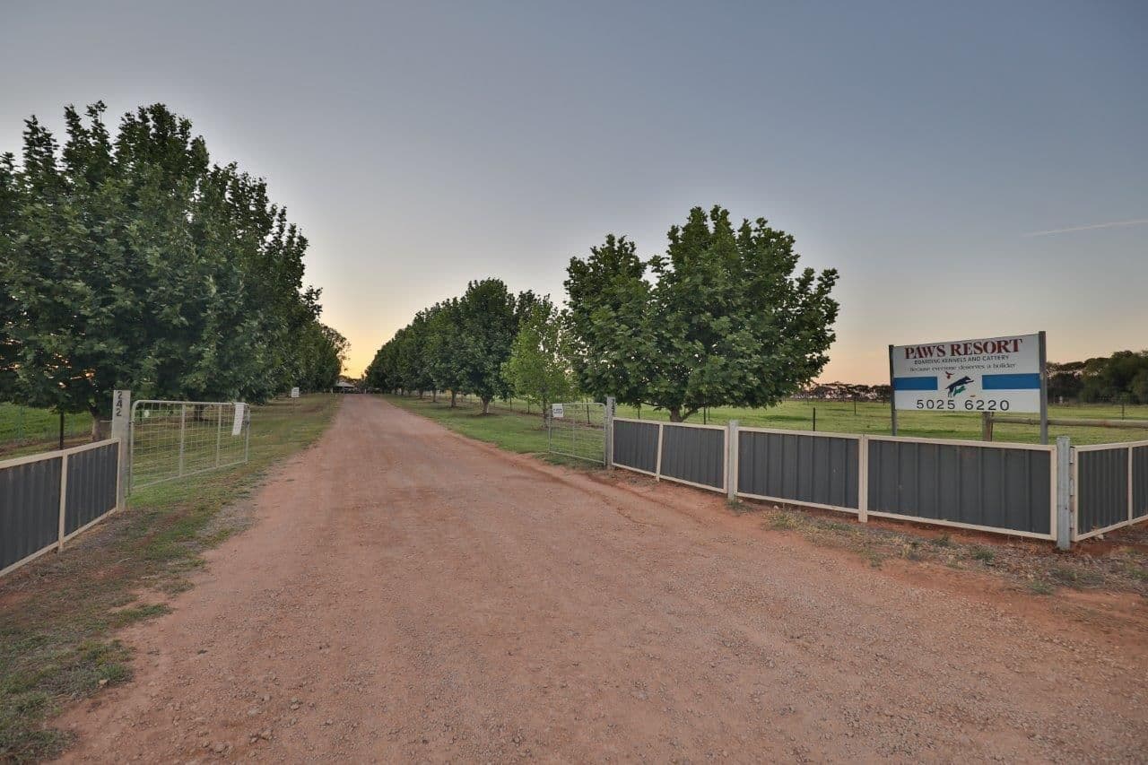 242 Oak Avenue, Birdwoodton VIC 3505, Birdwoodton - Thumbnail 3