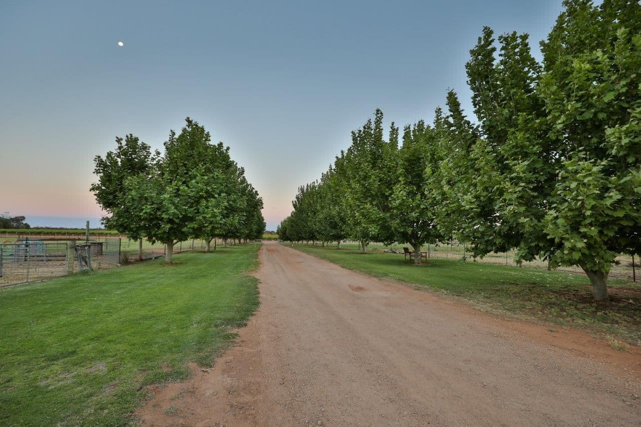 242 Oak Avenue, Birdwoodton VIC 3505, Birdwoodton - Thumbnail 4