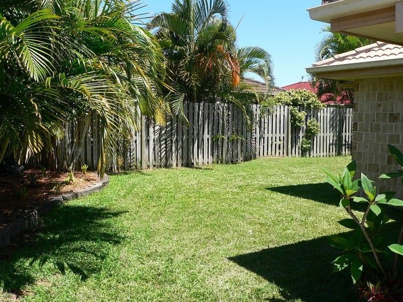 6 Fallow Court, UPPER COOMERA QLD 4209, Upper Coomera - Thumbnail 7