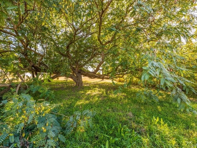 139 Moores Pocket Road, Moores Pocket - Thumbnail 3