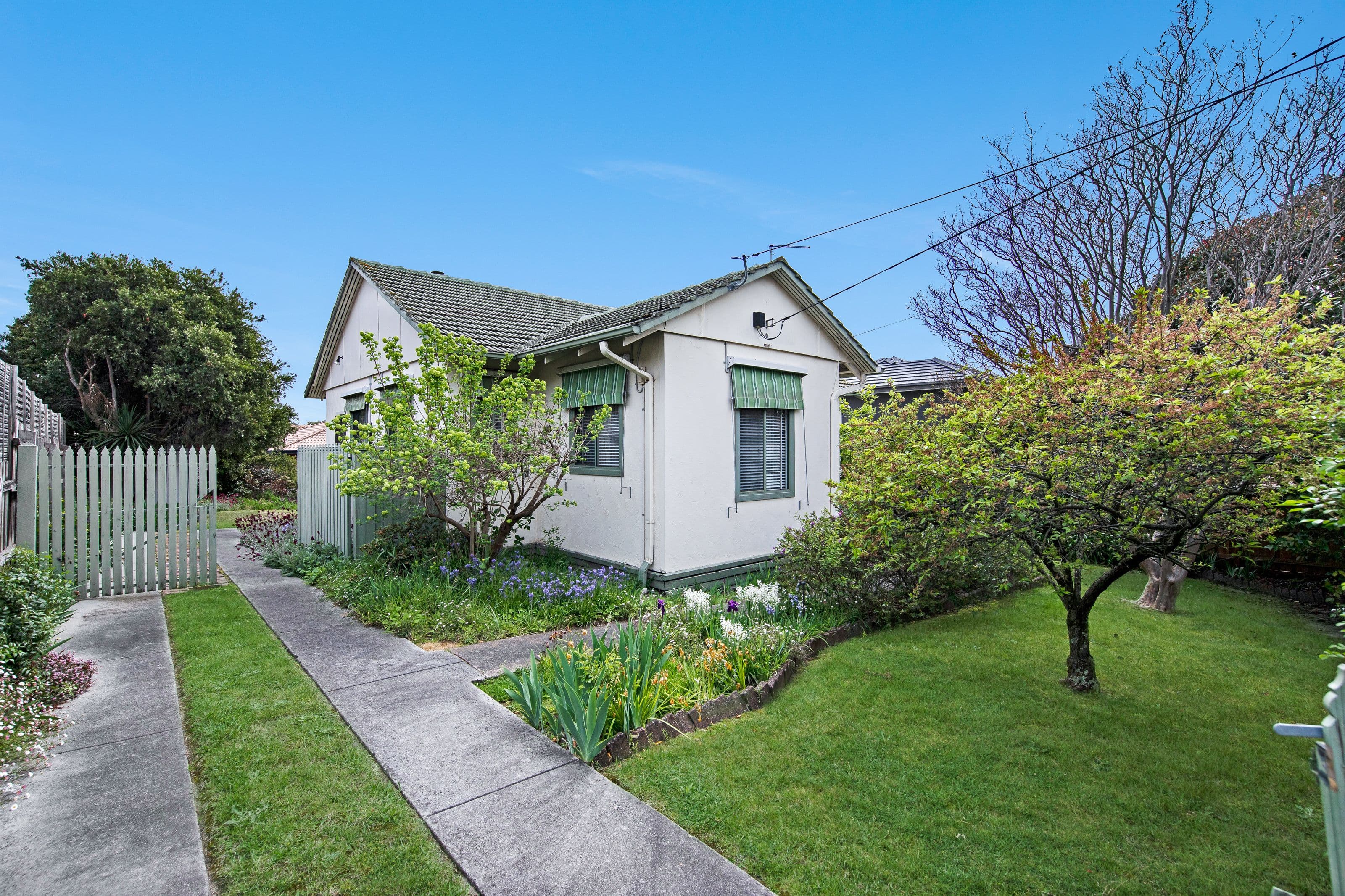 11 Bega Street, Chadstone VIC 3148, Chadstone - Image 1