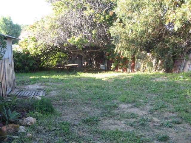 120 Fraser Street, BEACHLANDS WA 6530, Beachlands - Thumbnail 6