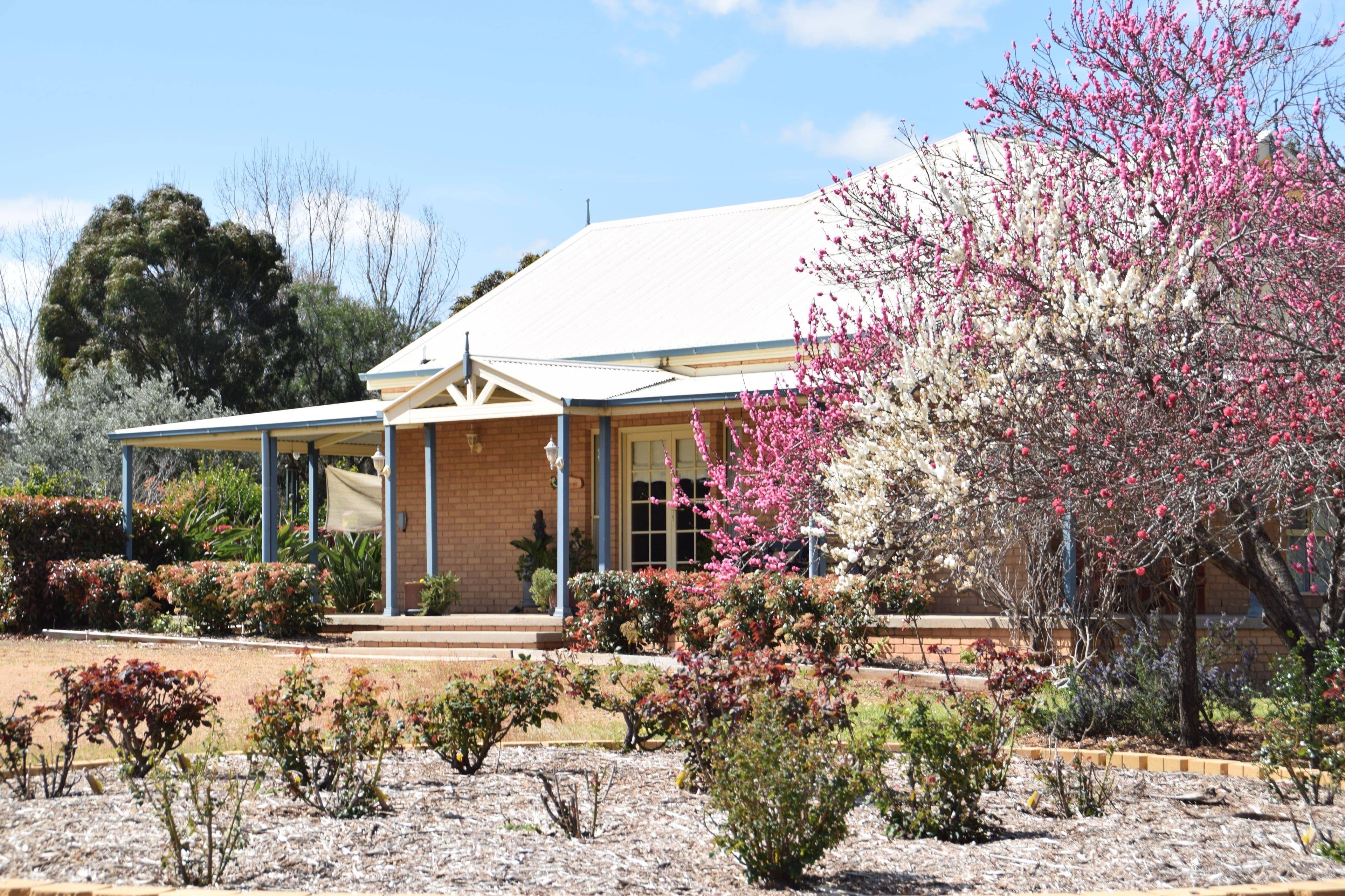 1R Beemery Road, Dubbo NSW 2830, Dubbo - Image 1